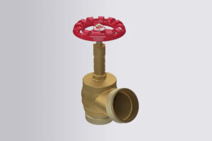 Registro Hidrante Industrial – PN20 – Grooved - Image 3